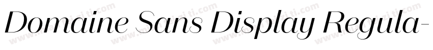 Domaine Sans Display Regula字体转换